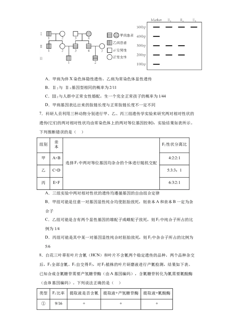 第五单元基因的传递规律（测试卷）（原卷版)_2024年新高考资料_3.2024专项复习_备战2024年高考生物一轮复习重难点专项突破