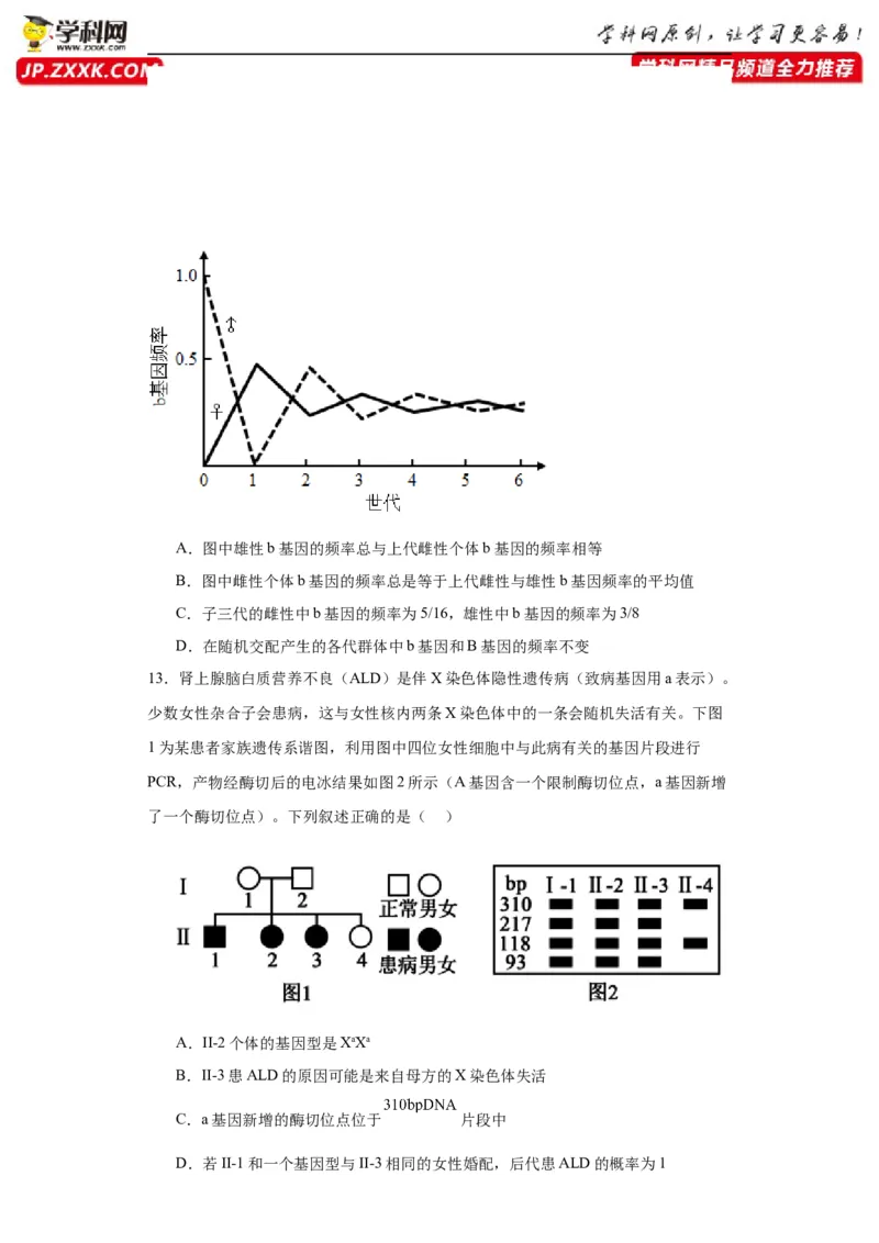 第五单元基因的传递规律（测试卷）（原卷版)_2024年新高考资料_3.2024专项复习_备战2024年高考生物一轮复习重难点专项突破