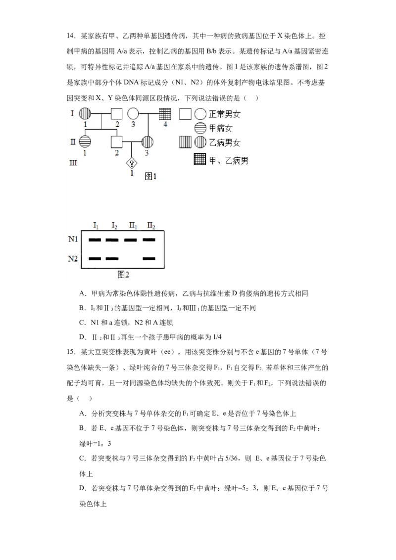 第五单元基因的传递规律（测试卷）（原卷版)_2024年新高考资料_3.2024专项复习_备战2024年高考生物一轮复习重难点专项突破