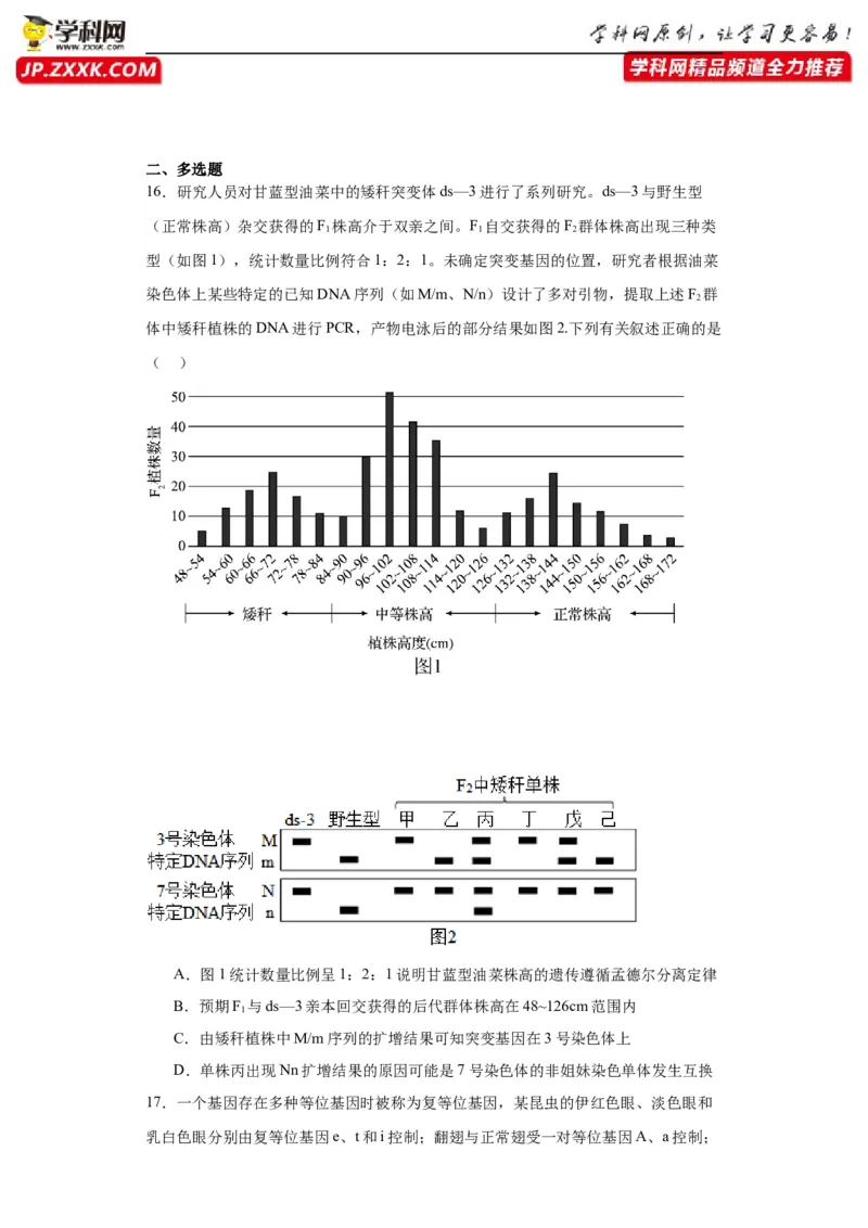 第五单元基因的传递规律（测试卷）（原卷版)_2024年新高考资料_3.2024专项复习_备战2024年高考生物一轮复习重难点专项突破