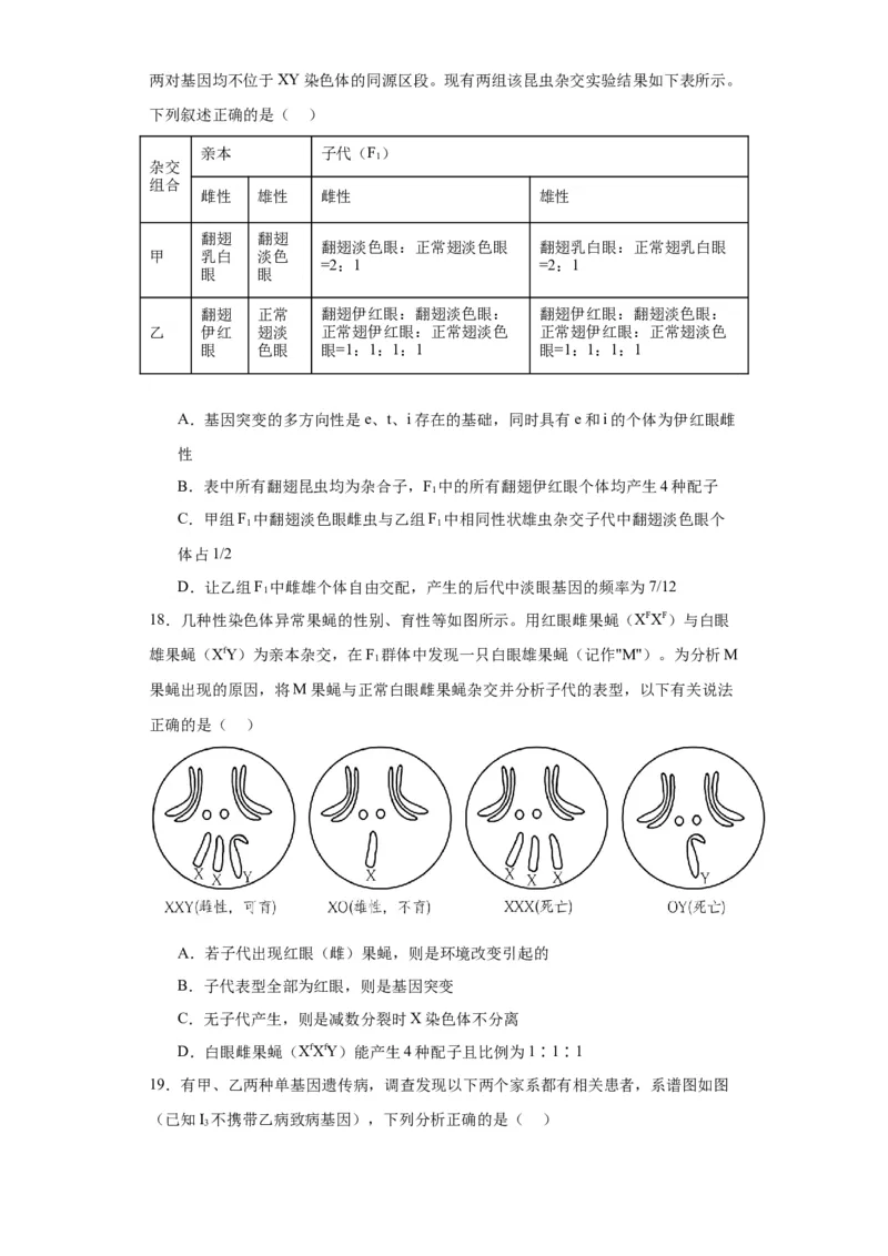 第五单元基因的传递规律（测试卷）（原卷版)_2024年新高考资料_3.2024专项复习_备战2024年高考生物一轮复习重难点专项突破