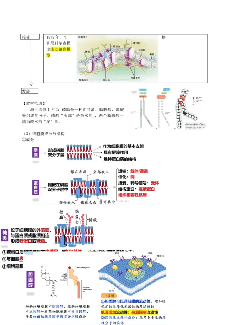 第5讲细胞膜和细胞核（讲义）（学生版）_2024年新高考资料_1.2024一轮复习_2024年高考生物一轮复习讲练测（新教材新高考）