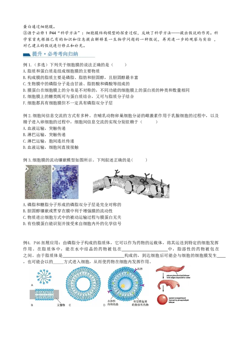 第5讲细胞膜和细胞核（讲义）（学生版）_2024年新高考资料_1.2024一轮复习_2024年高考生物一轮复习讲练测（新教材新高考）
