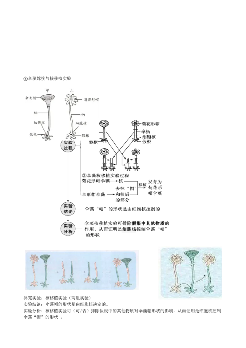 第5讲细胞膜和细胞核（讲义）（学生版）_2024年新高考资料_1.2024一轮复习_2024年高考生物一轮复习讲练测（新教材新高考）