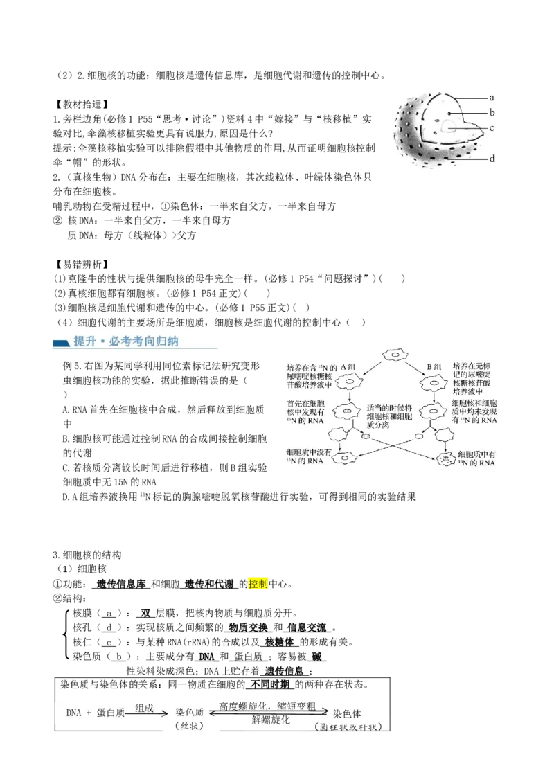 第5讲细胞膜和细胞核（讲义）（学生版）_2024年新高考资料_1.2024一轮复习_2024年高考生物一轮复习讲练测（新教材新高考）
