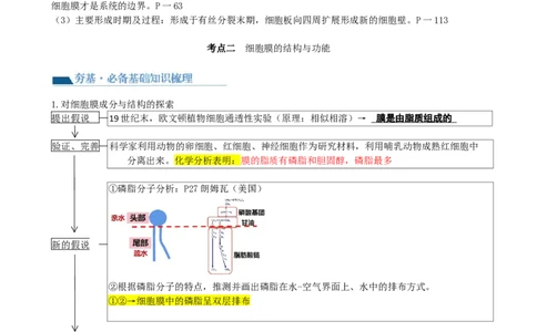第5讲细胞膜和细胞核（讲义）（学生版）_2024年新高考资料_1.2024一轮复习_2024年高考生物一轮复习讲练测（新教材新高考）