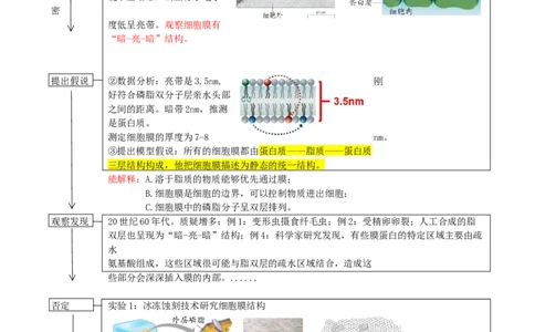 第5讲细胞膜和细胞核（讲义）（学生版）_2024年新高考资料_1.2024一轮复习_2024年高考生物一轮复习讲练测（新教材新高考）