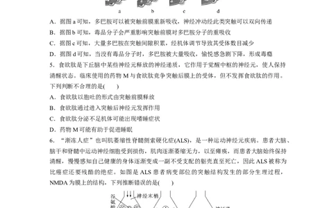 第8单元　课时练3　神经冲动的产生、传导和传递_2024年新高考资料_1.2024一轮复习_2024年高考生物一轮复习讲义（新人教版）_学生版在此文件夹_一轮复习69练_第八单元　生命活动的调节