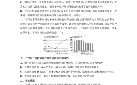 第8单元　课时练3　神经冲动的产生、传导和传递_2024年新高考资料_1.2024一轮复习_2024年高考生物一轮复习讲义（新人教版）_学生版在此文件夹_一轮复习69练_第八单元　生命活动的调节