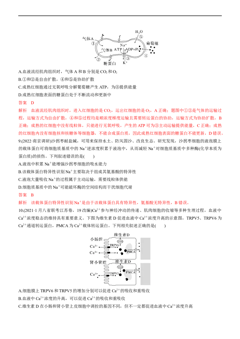 专题03细胞的物质输入和输出（测试卷）-2023年高考生物二轮复习讲练测（全国通用）（解析版）_通用版（老高考）复习资料_2023年复习资料_二轮复习