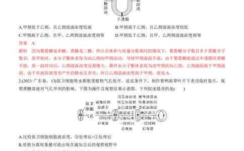 专题03细胞的物质输入和输出（测试卷）-2023年高考生物二轮复习讲练测（全国通用）（解析版）_通用版（老高考）复习资料_2023年复习资料_二轮复习