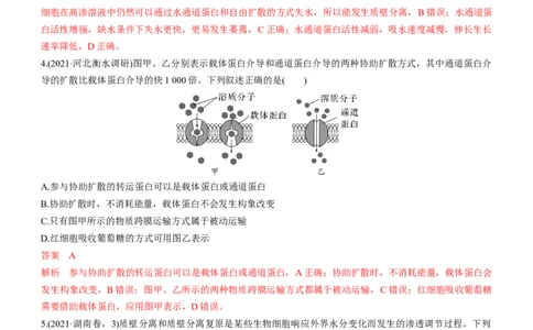 专题03细胞的物质输入和输出（测试卷）-2023年高考生物二轮复习讲练测（全国通用）（解析版）_通用版（老高考）复习资料_2023年复习资料_二轮复习
