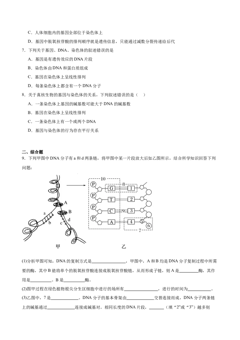 考点通关卷21DNA分子的结构、复制与基因的本质（原卷版）_2024年新高考资料_1.2024一轮复习_2024年高考生物一轮复习考点通关卷（新高考通用）