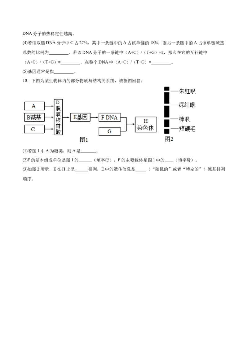 考点通关卷21DNA分子的结构、复制与基因的本质（原卷版）_2024年新高考资料_1.2024一轮复习_2024年高考生物一轮复习考点通关卷（新高考通用）