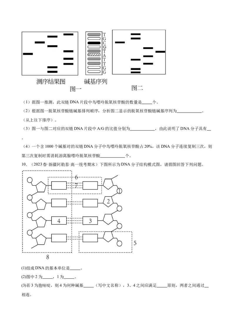 考点通关卷21DNA分子的结构、复制与基因的本质（原卷版）_2024年新高考资料_1.2024一轮复习_2024年高考生物一轮复习考点通关卷（新高考通用）