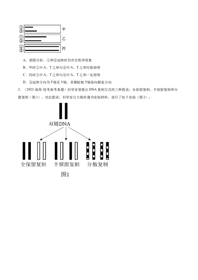 考点通关卷21DNA分子的结构、复制与基因的本质（原卷版）_2024年新高考资料_1.2024一轮复习_2024年高考生物一轮复习考点通关卷（新高考通用）