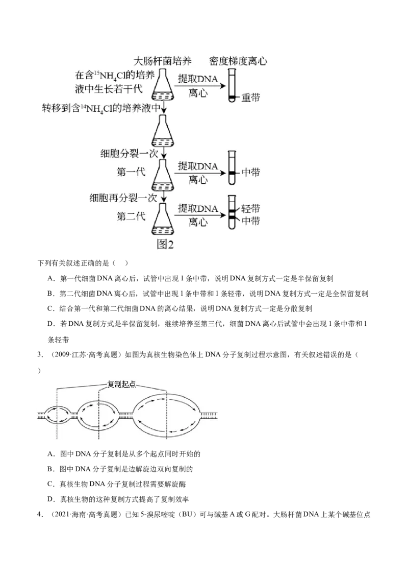 考点通关卷21DNA分子的结构、复制与基因的本质（原卷版）_2024年新高考资料_1.2024一轮复习_2024年高考生物一轮复习考点通关卷（新高考通用）