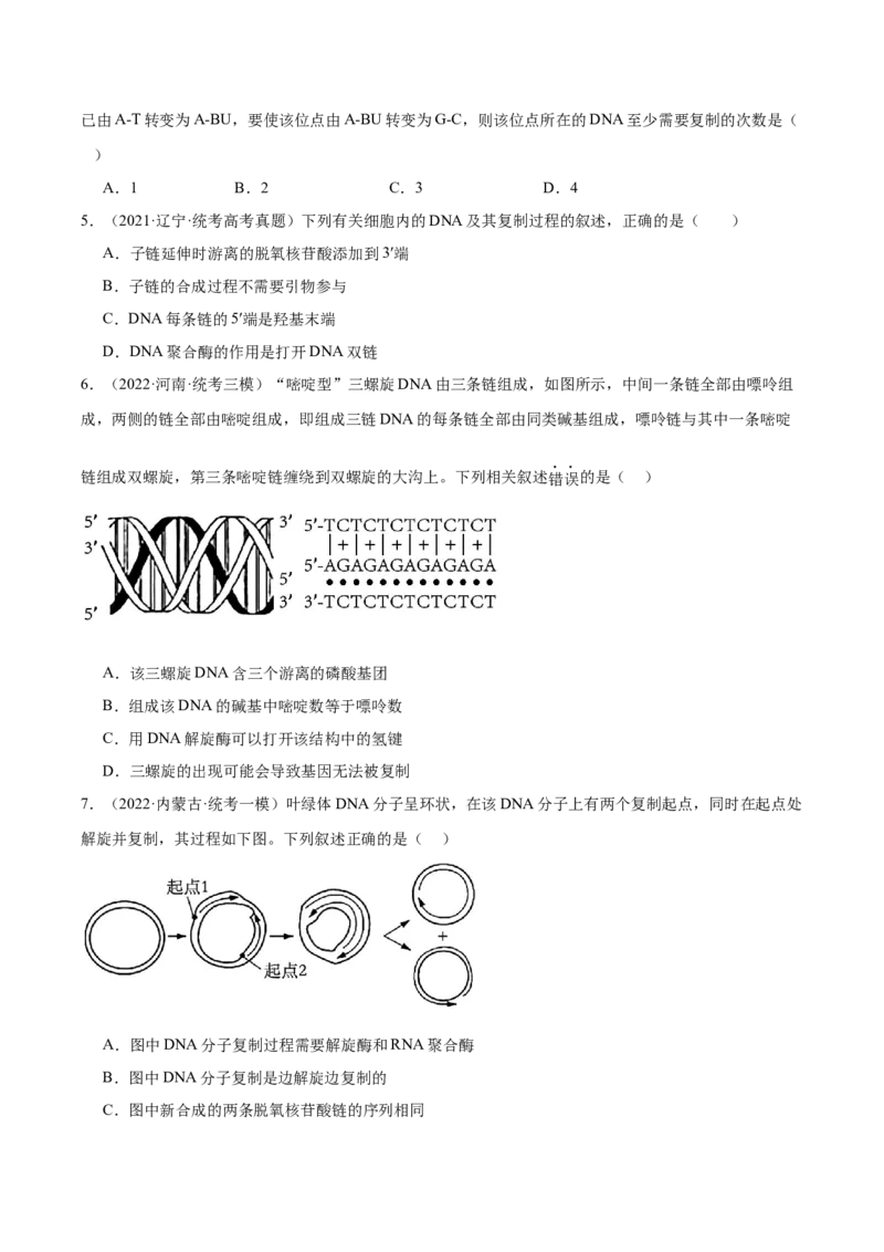 考点通关卷21DNA分子的结构、复制与基因的本质（原卷版）_2024年新高考资料_1.2024一轮复习_2024年高考生物一轮复习考点通关卷（新高考通用）