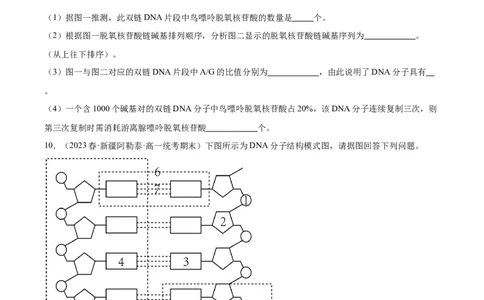 考点通关卷21DNA分子的结构、复制与基因的本质（原卷版）_2024年新高考资料_1.2024一轮复习_2024年高考生物一轮复习考点通关卷（新高考通用）