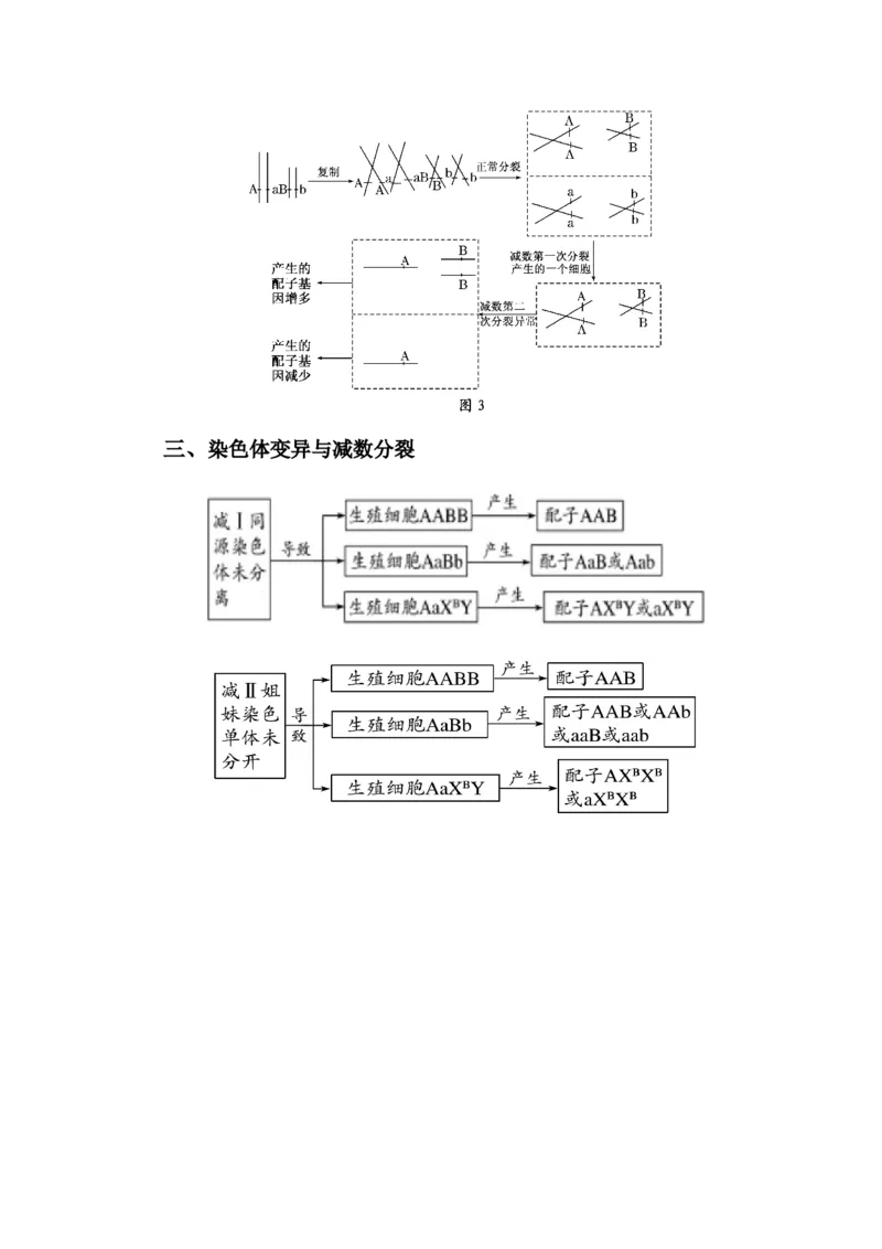 专题04减数分裂过程异常的情况分析-备战2021年高考生物核心考点透析（原卷版）_新高考复习资料_2021年新高考资料_备战2021年高考生物核心考点透析