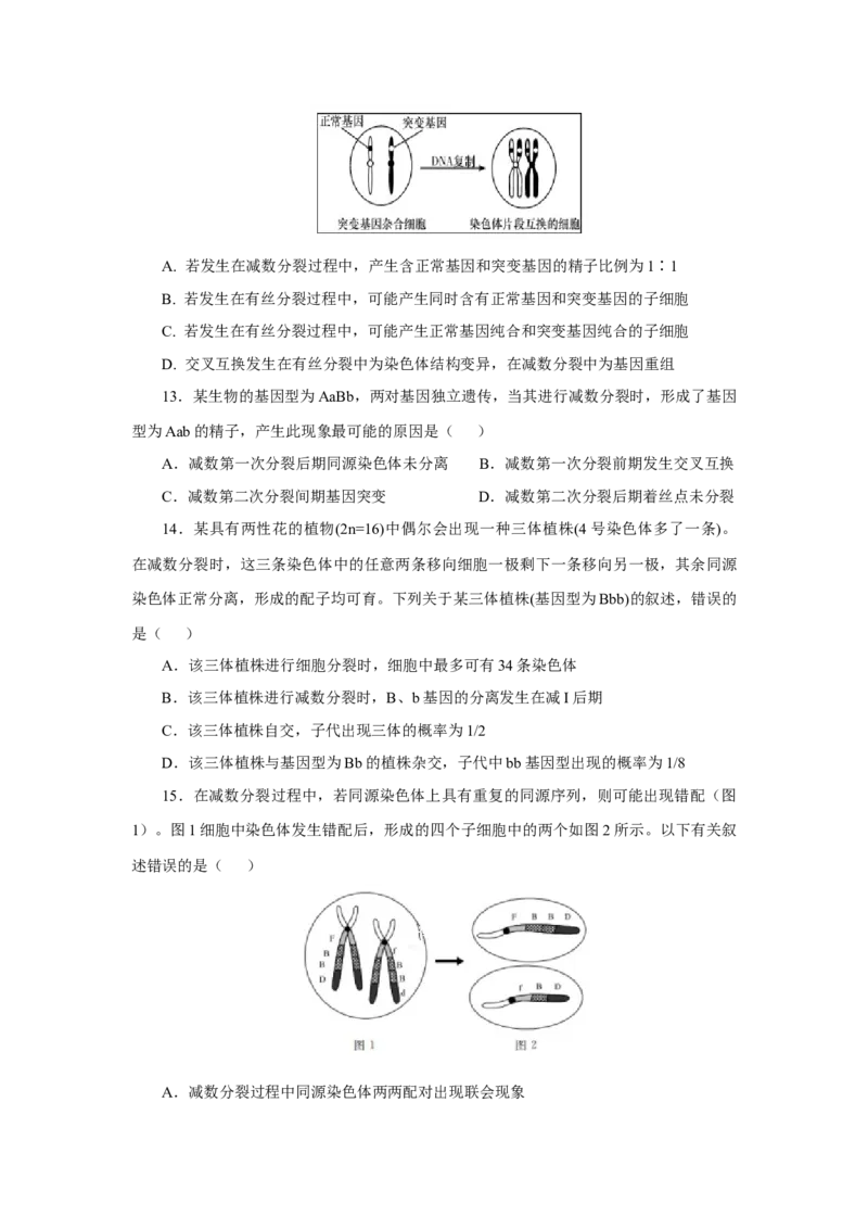 专题04减数分裂过程异常的情况分析-备战2021年高考生物核心考点透析（原卷版）_新高考复习资料_2021年新高考资料_备战2021年高考生物核心考点透析