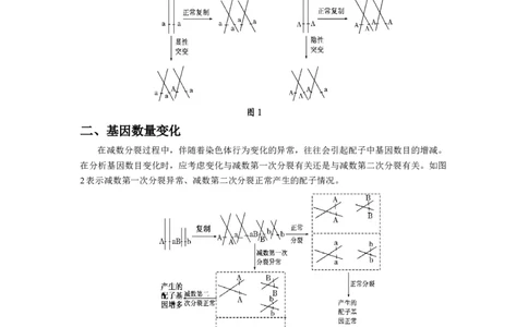 专题04减数分裂过程异常的情况分析-备战2021年高考生物核心考点透析（原卷版）_新高考复习资料_2021年新高考资料_备战2021年高考生物核心考点透析