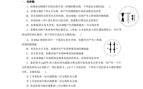 专题04减数分裂过程异常的情况分析-备战2021年高考生物核心考点透析（原卷版）_新高考复习资料_2021年新高考资料_备战2021年高考生物核心考点透析