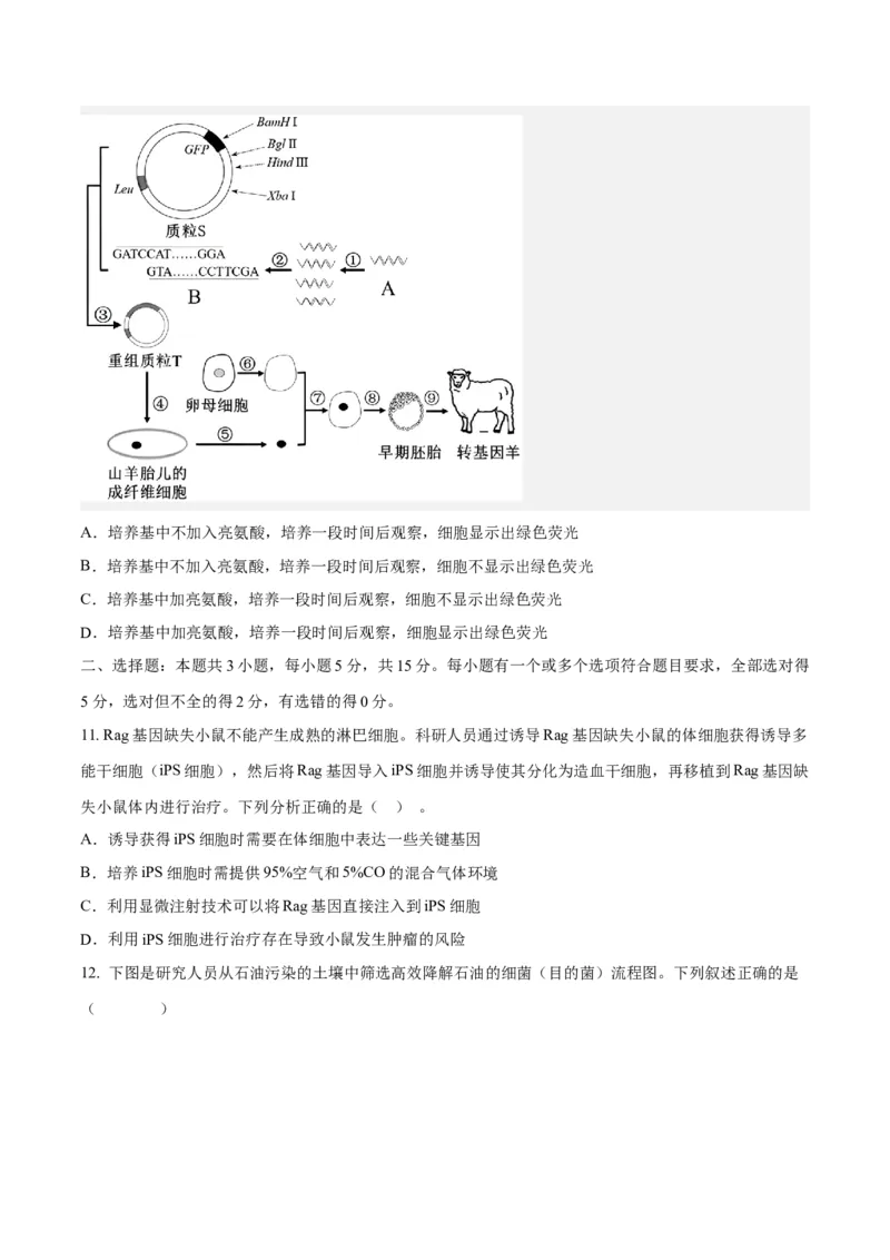 题型07实验设计类（生物技术与工程）（原卷版）_2024年新高考资料_2.2024二轮复习_备战2024年高考生物实验专项突破3143686
