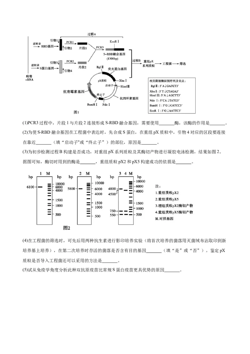 题型07实验设计类（生物技术与工程）（原卷版）_2024年新高考资料_2.2024二轮复习_备战2024年高考生物实验专项突破3143686