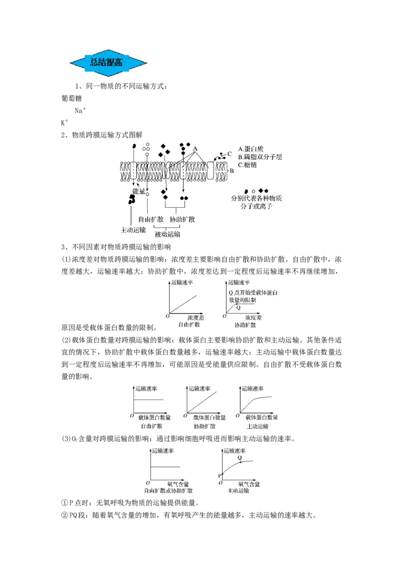 专题06细胞的物质输入和输出（串讲）（原卷版）_新高考复习资料_2024年新高考复习资料_一轮复习资料_完备战2024年高考生物一轮复习串讲精练（新高考专用）_串讲