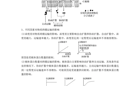 专题06细胞的物质输入和输出（串讲）（原卷版）_新高考复习资料_2024年新高考复习资料_一轮复习资料_完备战2024年高考生物一轮复习串讲精练（新高考专用）_串讲
