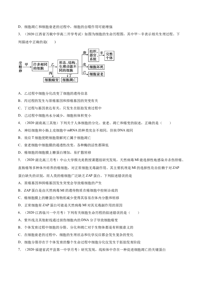 专题05细胞的分化、衰老、凋亡及癌变-2021年高考真题和模拟题生物分项汇编（原卷版）_新高考复习资料_2022年新高考复习资料_2021年高考真题和模拟题生物分项汇编7.30更新