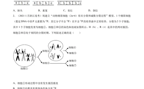 专题05细胞的分化、衰老、凋亡及癌变-2021年高考真题和模拟题生物分项汇编（原卷版）_新高考复习资料_2022年新高考复习资料_2021年高考真题和模拟题生物分项汇编7.30更新