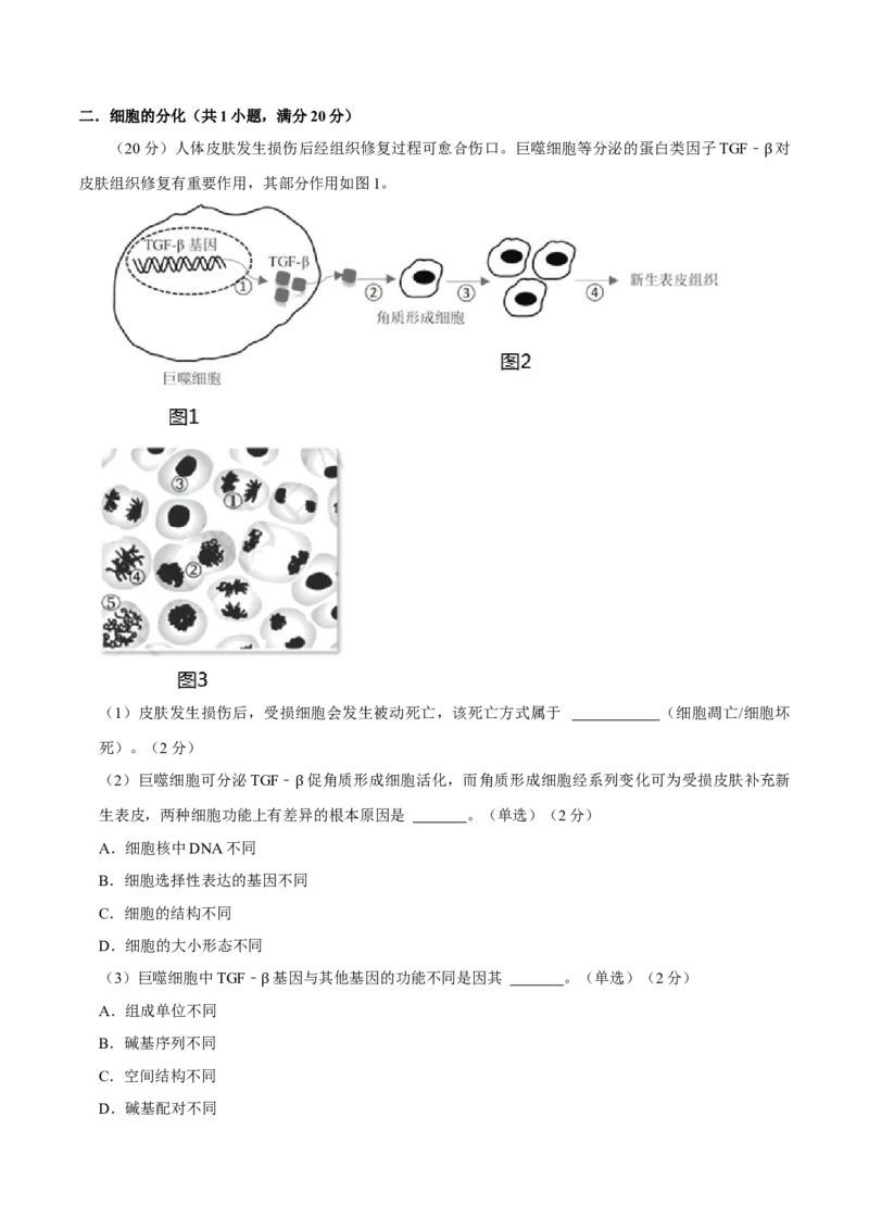 黄金卷01（考试版）-赢在高考&middot;黄金8卷备战2024年高考生物模拟卷（上海专用）_2024年新高考资料_4.2024高考模拟预测试卷
