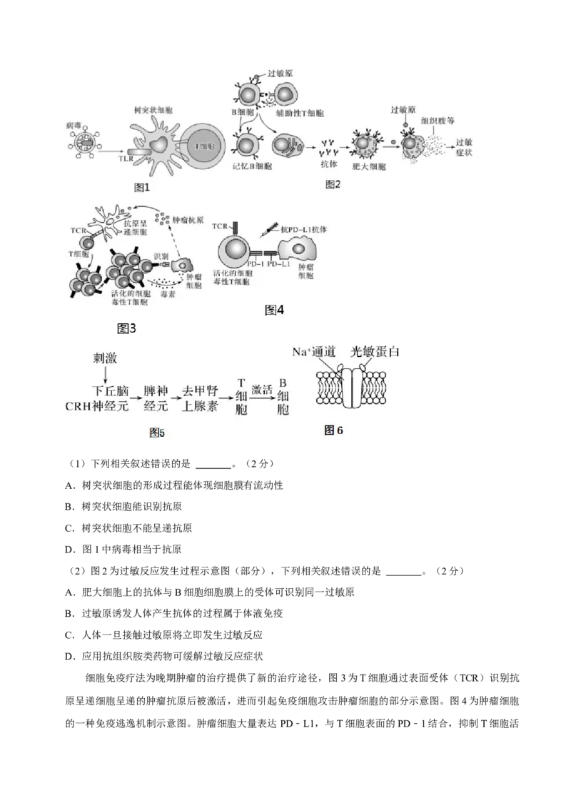 黄金卷01（考试版）-赢在高考&middot;黄金8卷备战2024年高考生物模拟卷（上海专用）_2024年新高考资料_4.2024高考模拟预测试卷