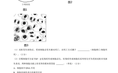 黄金卷01（考试版）-赢在高考&middot;黄金8卷备战2024年高考生物模拟卷（上海专用）_2024年新高考资料_4.2024高考模拟预测试卷