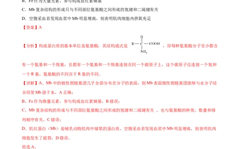 考点通关卷04蛋白质和核酸（解析版）_2024年新高考资料_1.2024一轮复习_2024年高考生物一轮复习考点通关卷（新高考通用）_考点通关卷04+蛋白质和核酸-2024年高考生物一轮复习考点通关卷