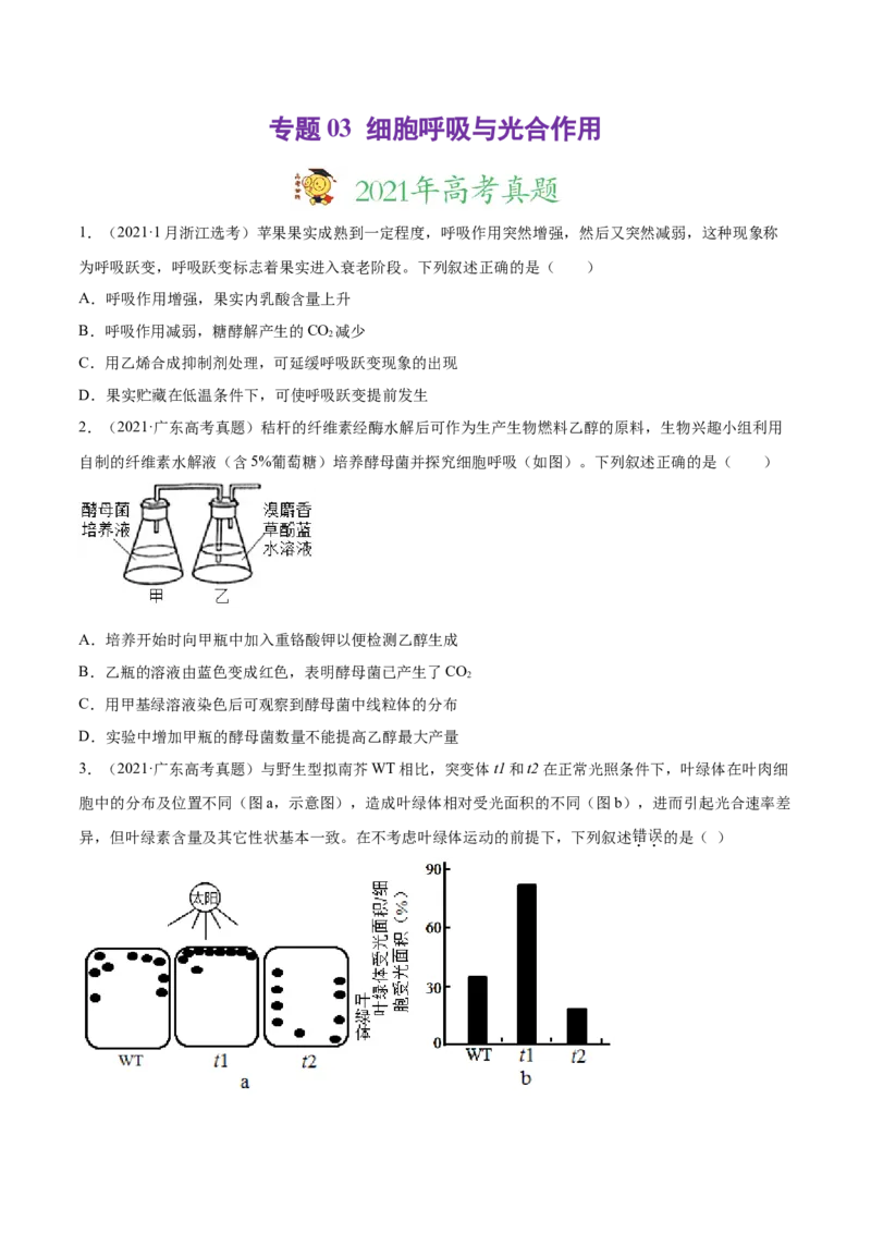 专题03细胞呼吸与光合作用-2021年高考真题和模拟题生物分项汇编（原卷版）_新高考复习资料_2022年新高考复习资料_2021年高考真题和模拟题生物分项汇编7.30更新