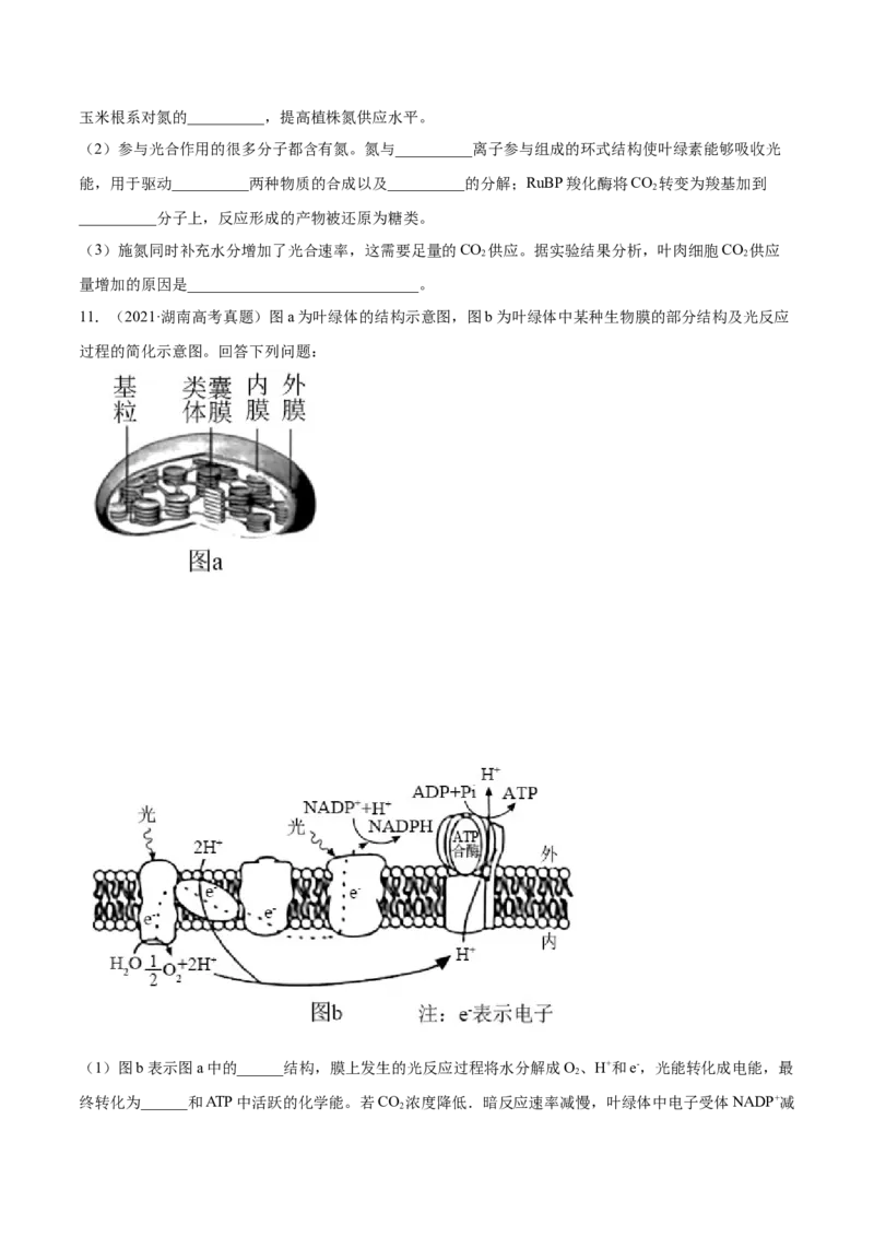 专题03细胞呼吸与光合作用-2021年高考真题和模拟题生物分项汇编（原卷版）_新高考复习资料_2022年新高考复习资料_2021年高考真题和模拟题生物分项汇编7.30更新