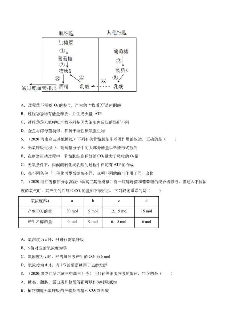 专题03细胞呼吸与光合作用-2021年高考真题和模拟题生物分项汇编（原卷版）_新高考复习资料_2022年新高考复习资料_2021年高考真题和模拟题生物分项汇编7.30更新