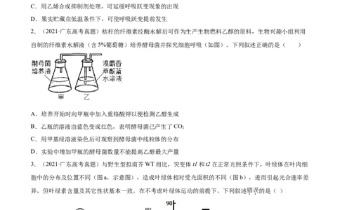 专题03细胞呼吸与光合作用-2021年高考真题和模拟题生物分项汇编（原卷版）_新高考复习资料_2022年新高考复习资料_2021年高考真题和模拟题生物分项汇编7.30更新