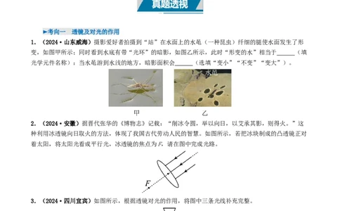 专题03透镜及其应用（考情聚焦+中考新考法+真题透视3大考向+新题特训）（原卷版）_8、物理总复习_2025年中考复习资料_备战2025年中考物理真题题源讲义（全国通用）