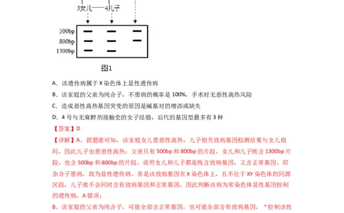 专题07伴性遗传与人类遗传病（解析版）_新高考复习资料_2024年新高考复习资料_一轮复习资料_完备战2024年高考生物一轮复习重难点突破讲解与训练（新教材）