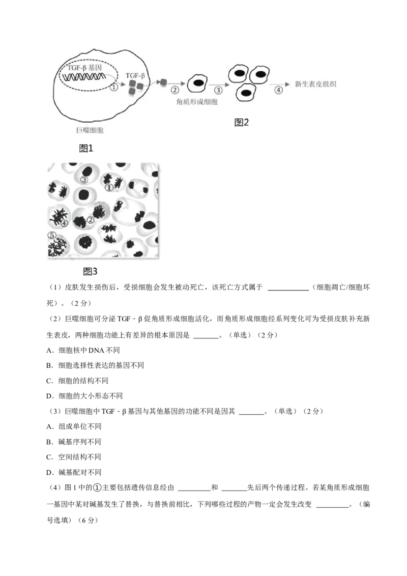 黄金卷01（解析版）-赢在高考&middot;黄金8卷备战2024年高考生物模拟卷（上海专用）_2024年新高考资料_4.2024高考模拟预测试卷