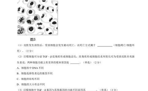 黄金卷01（解析版）-赢在高考&middot;黄金8卷备战2024年高考生物模拟卷（上海专用）_2024年新高考资料_4.2024高考模拟预测试卷