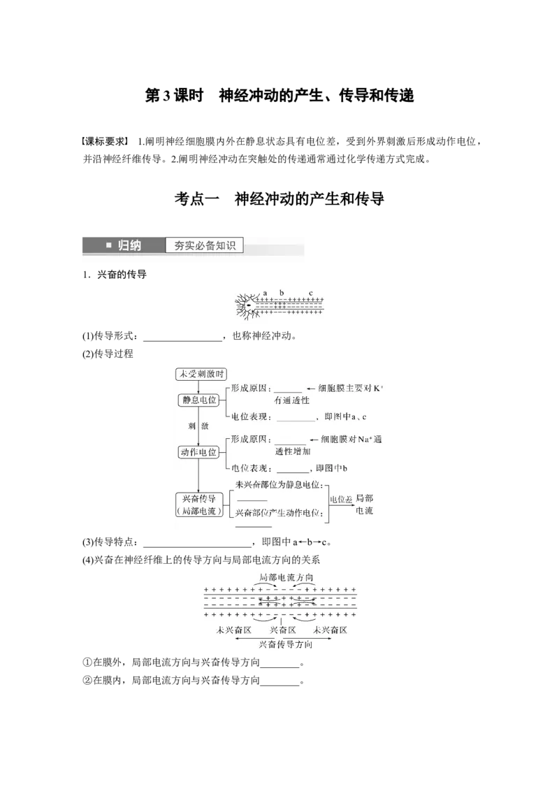 第8单元　第3课时　神经冲动的产生、传导和传递_2024年新高考资料_1.2024一轮复习_2024年高考生物一轮复习讲义（新人教版）_学生版在此文件夹_大一轮复习讲义_第八单元　生命活动的调节