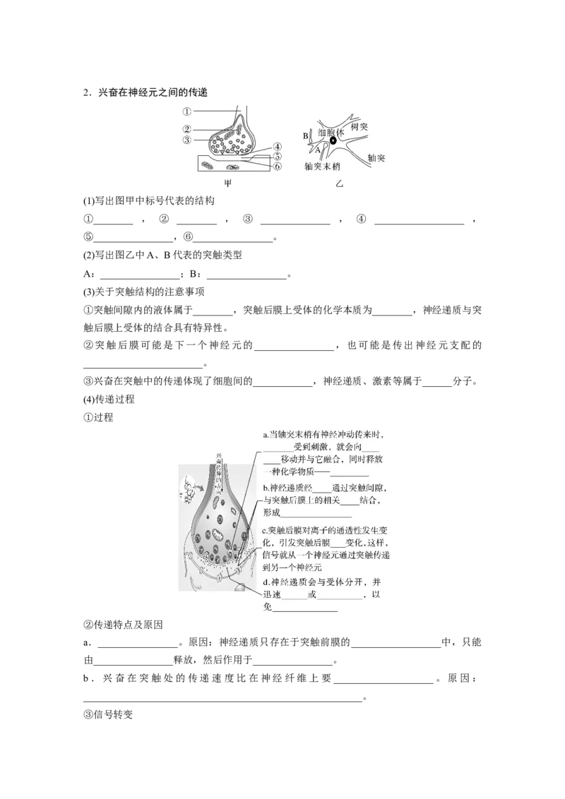 第8单元　第3课时　神经冲动的产生、传导和传递_2024年新高考资料_1.2024一轮复习_2024年高考生物一轮复习讲义（新人教版）_学生版在此文件夹_大一轮复习讲义_第八单元　生命活动的调节