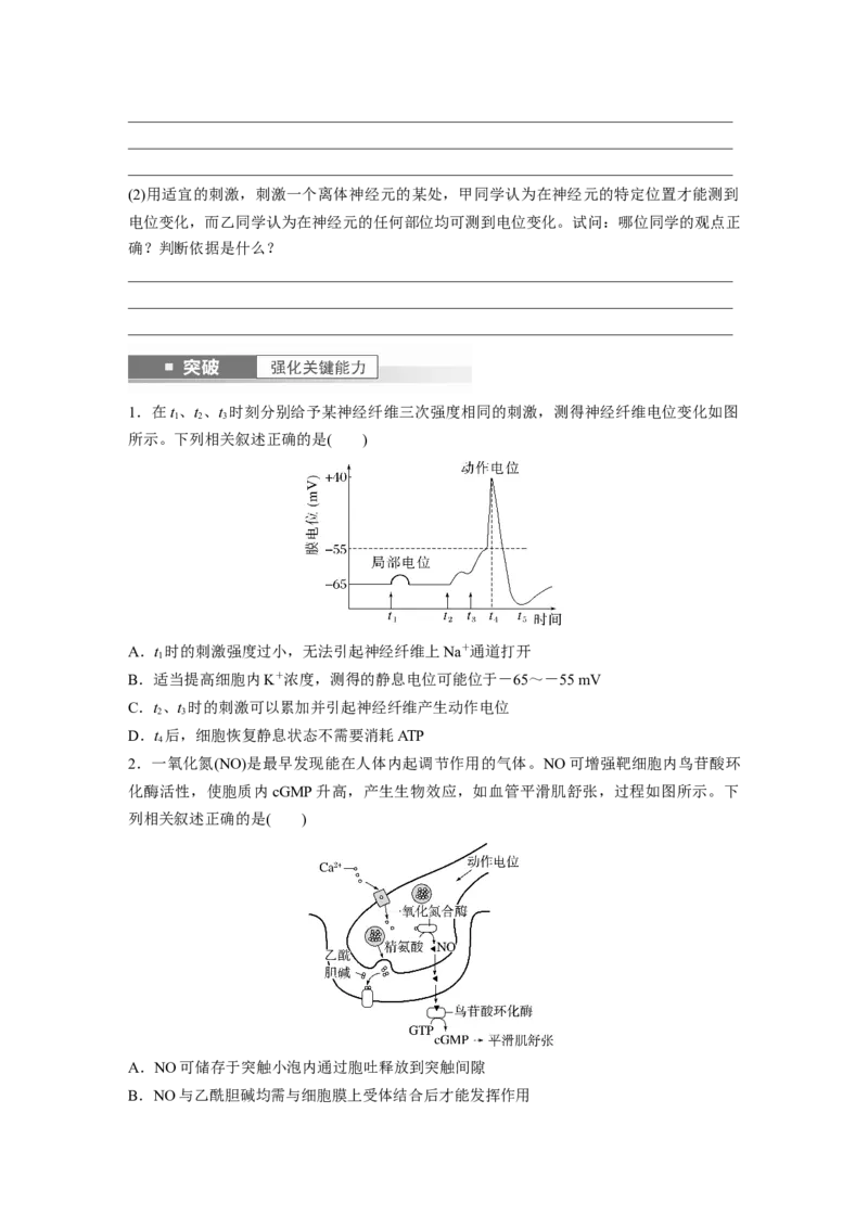 第8单元　第3课时　神经冲动的产生、传导和传递_2024年新高考资料_1.2024一轮复习_2024年高考生物一轮复习讲义（新人教版）_学生版在此文件夹_大一轮复习讲义_第八单元　生命活动的调节