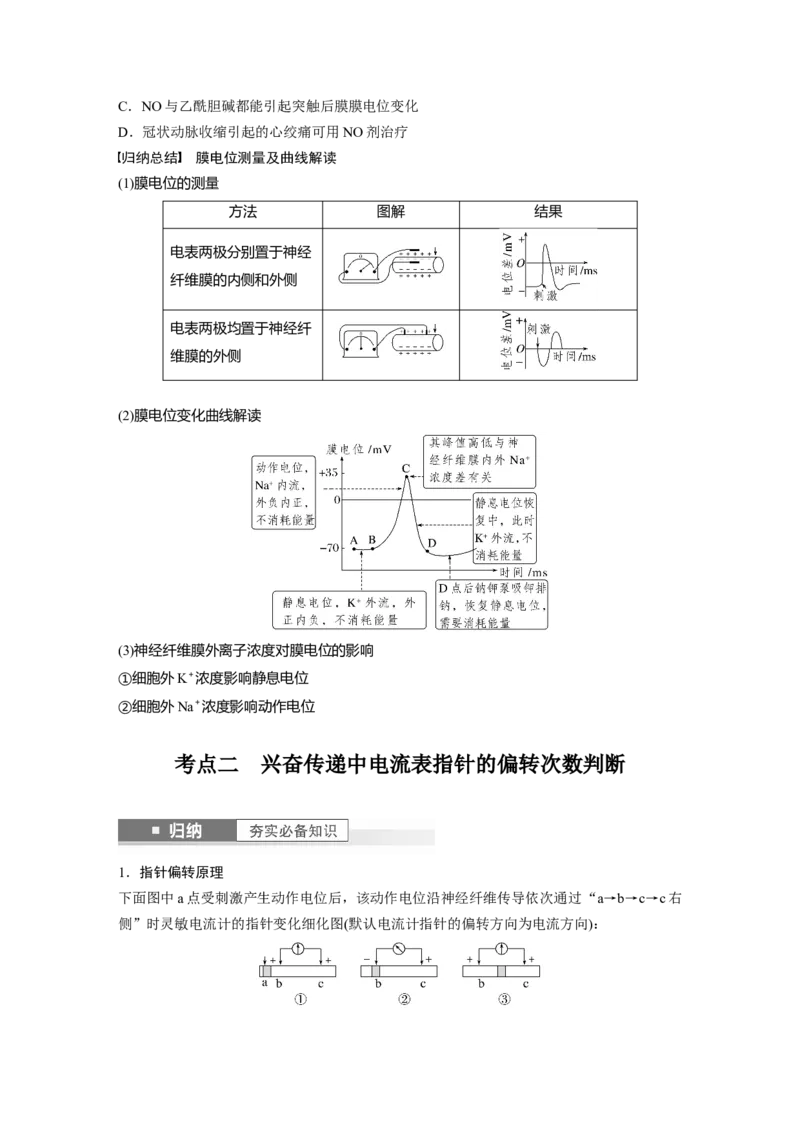 第8单元　第3课时　神经冲动的产生、传导和传递_2024年新高考资料_1.2024一轮复习_2024年高考生物一轮复习讲义（新人教版）_学生版在此文件夹_大一轮复习讲义_第八单元　生命活动的调节