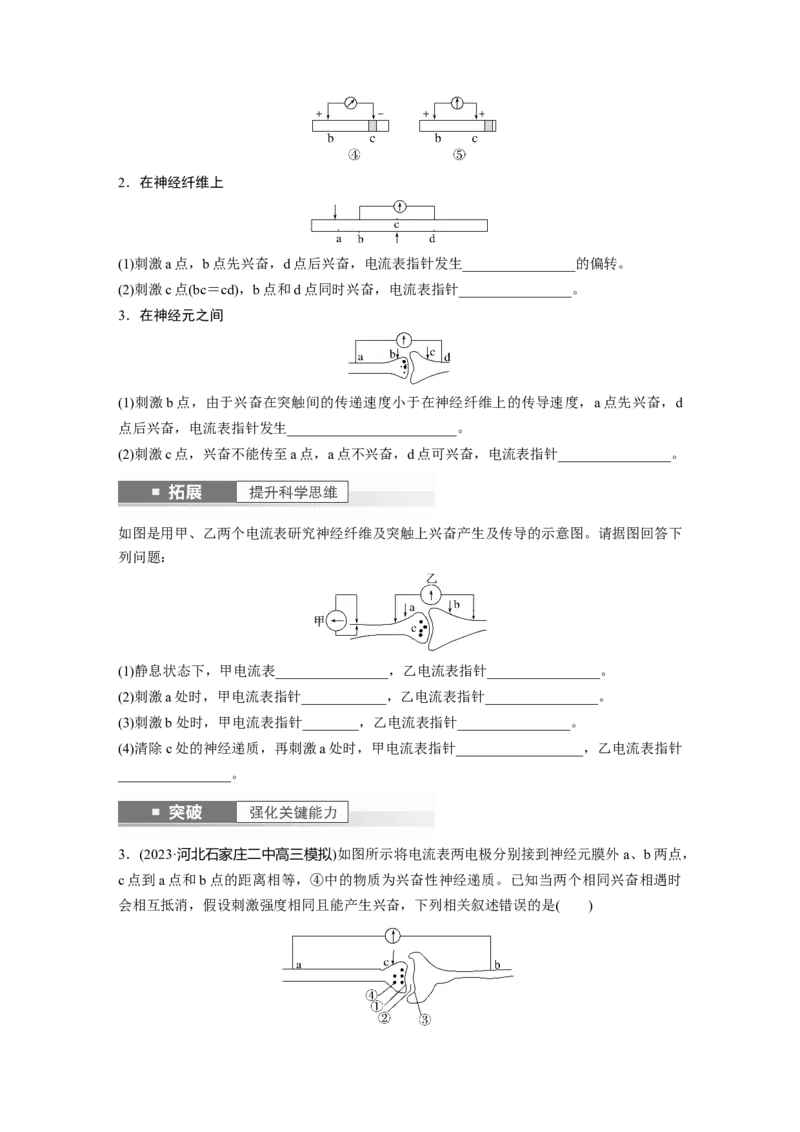 第8单元　第3课时　神经冲动的产生、传导和传递_2024年新高考资料_1.2024一轮复习_2024年高考生物一轮复习讲义（新人教版）_学生版在此文件夹_大一轮复习讲义_第八单元　生命活动的调节